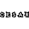 Cesar NYC Kitchens