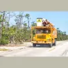 Top Tree Trimming