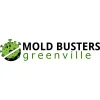 Mold Busters Greenville