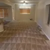 Carpet Busters LV