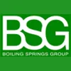 Boiling Springs Group