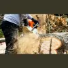 Dillon Tree Service