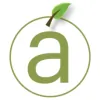 Accent Custom Builders