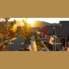 Linderoth Associates