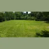 Mike's Lawn Service
