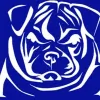 Bulldog Roofing