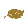 Aspen Development
