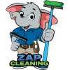ZAP Cleaning