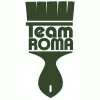 Team Roma Painting & Pressure Washing
