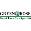 Green Rose