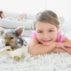 Palm Coast Carpet Cleaning