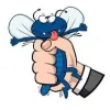 All Statewide Termite & Pest Control