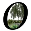 Landscape Oasis