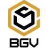 Bgv Construction