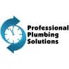 Professional Plumbing Solutions