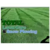 Total Lawn Care & Snow Plowing