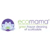 Eco Mama Green Clean