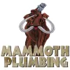 Mammoth Plumbing