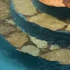Poolsurance