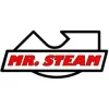 Mr Steam