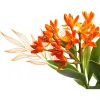 Doerler Landscapes & Hidden Springs Irrigation