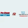 Pro-Steam Carpet Care