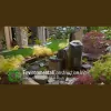 Environmental Construction