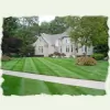 Efficient Lawn Maintenance