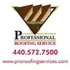 Professional Roofing Service