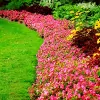 Aesthetic Landscapes