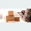 Easy Movers