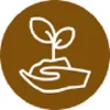 Cisneros Tree Care