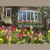 Tilting Windmill Landscape Design