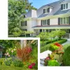 Jackson Landscaping
