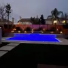 Trinity Custom Pools