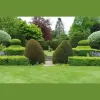 CM Landscape