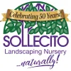 Sollecito Landscaping Nursery