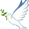 Dove Group