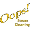 Oops! Steam Cleaning