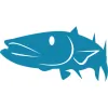 Barracuda Builders