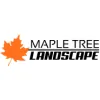 Maple Tree Landscape