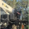 Tree Masters