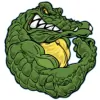 Gator Clean