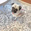 Pineville Rug Gallery