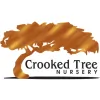 Crooked Tree Nursery