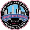Windy City Rooter
