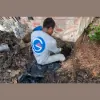 Galveston Foundation Repair