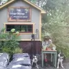 Cottage Cuttings