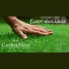Carolina Vistas Lawn Care