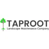Taproot Landscape